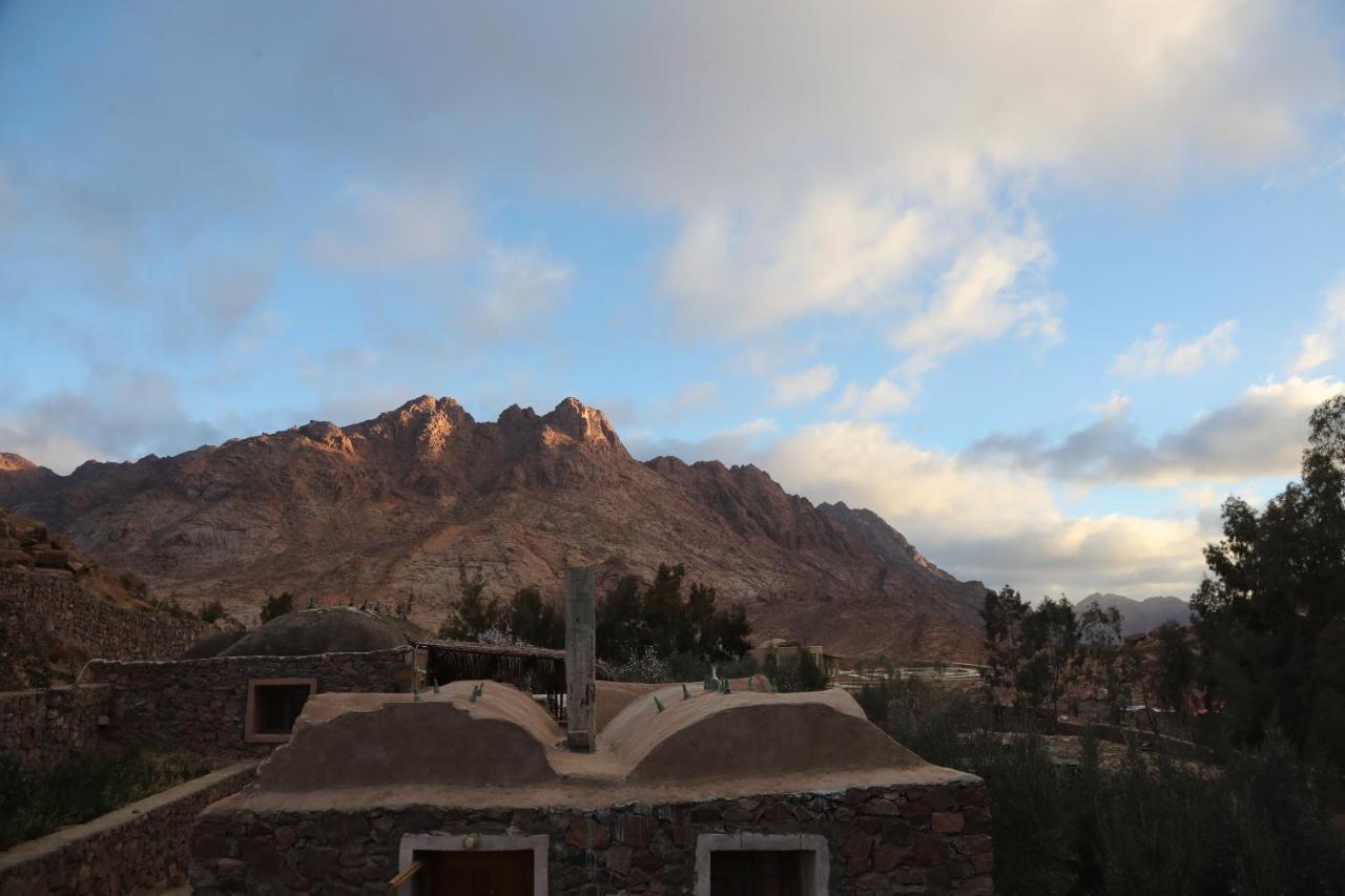 Fox Camp Hotel Saint Catherine Exterior photo