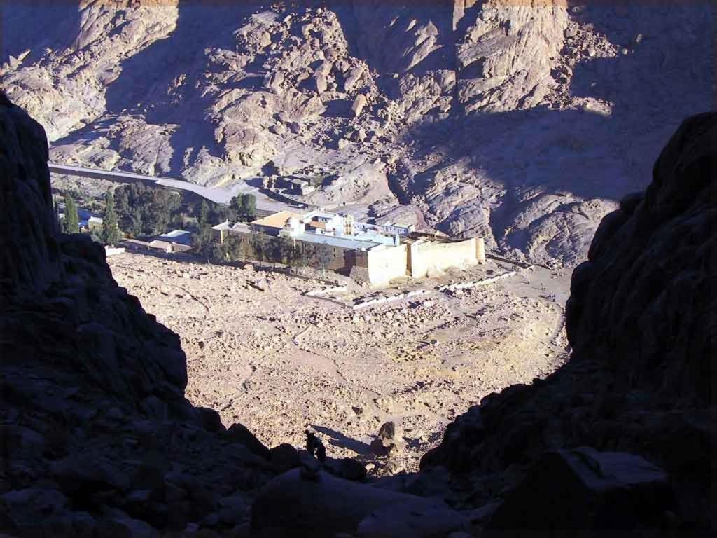 Fox Camp Hotel Saint Catherine Exterior photo