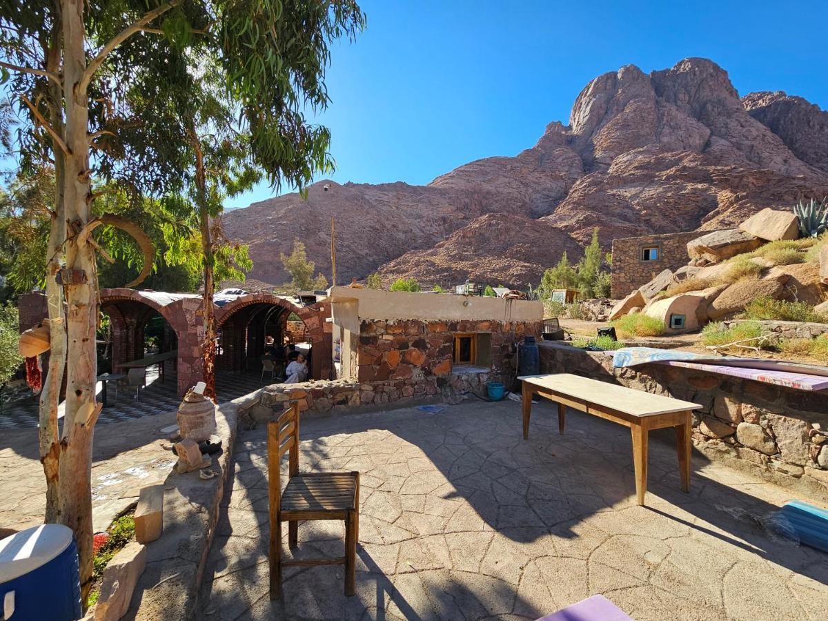Fox Camp Hotel Saint Catherine Exterior photo